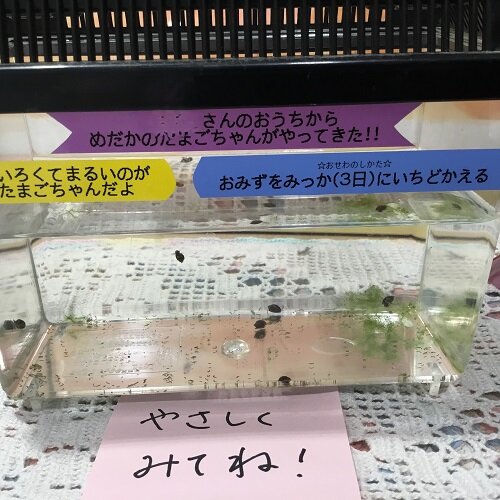 ①.JPG