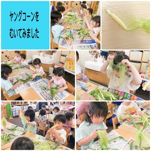 ⑤.JPG